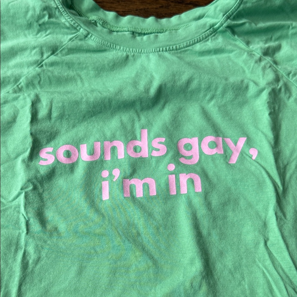 Ruby Loot t shirt in size small SOUNDS GAY, I'M IN - Picture 5 of 9